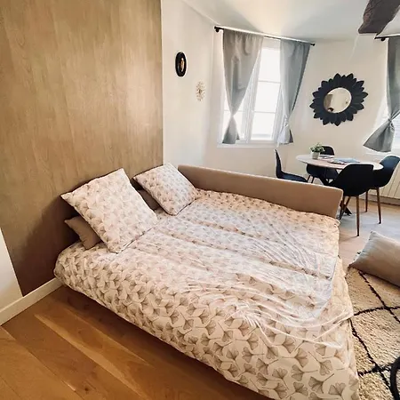 Hyper Centre. Le Petit Porche 3 Appartement *